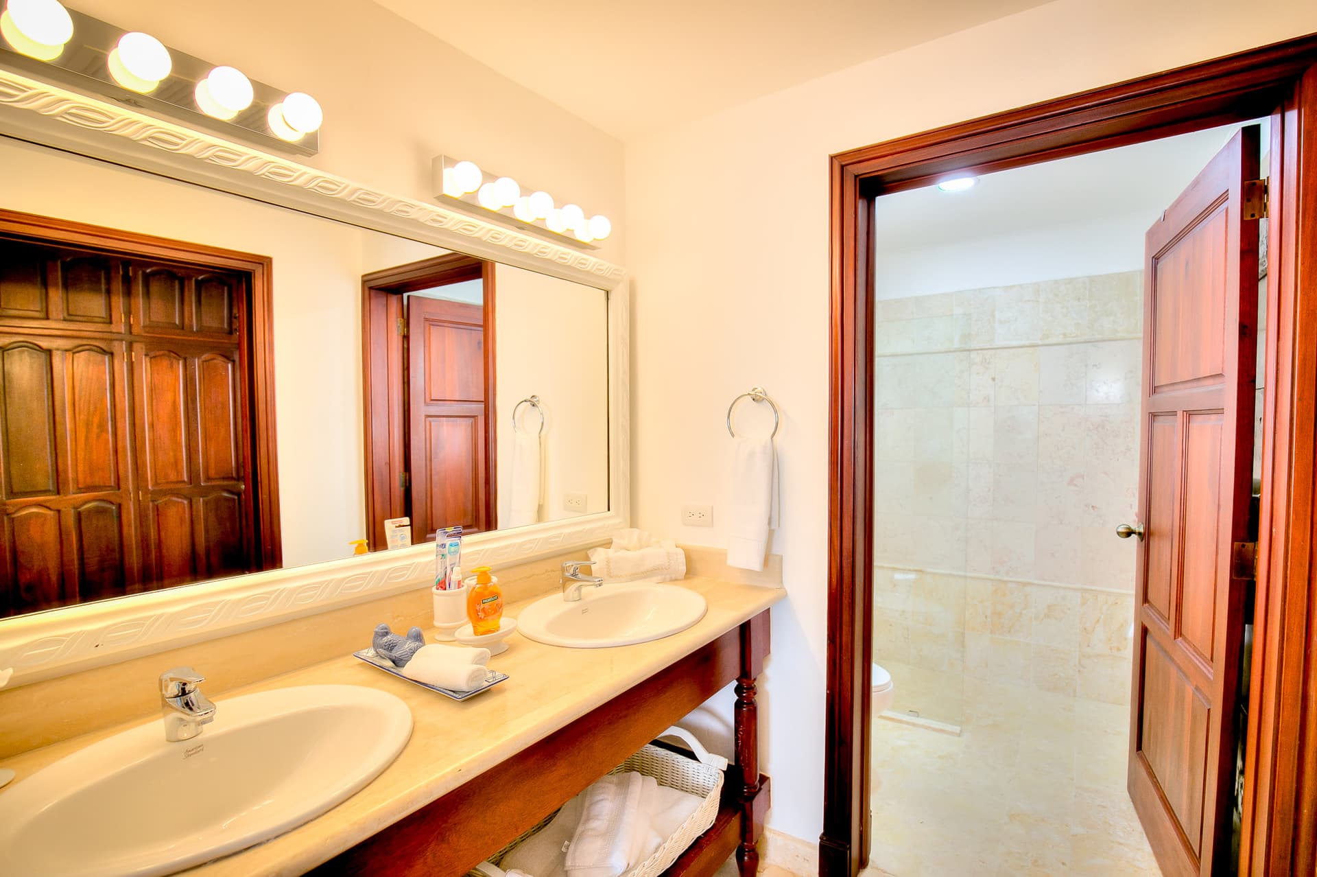 Tortuga Azul - Image 7