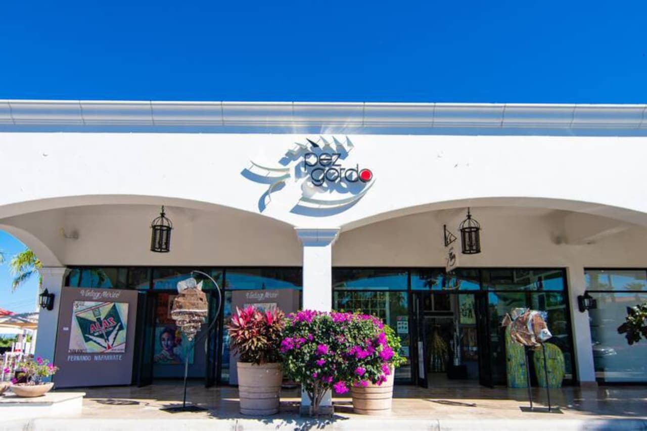 Coco Palma - Image 35