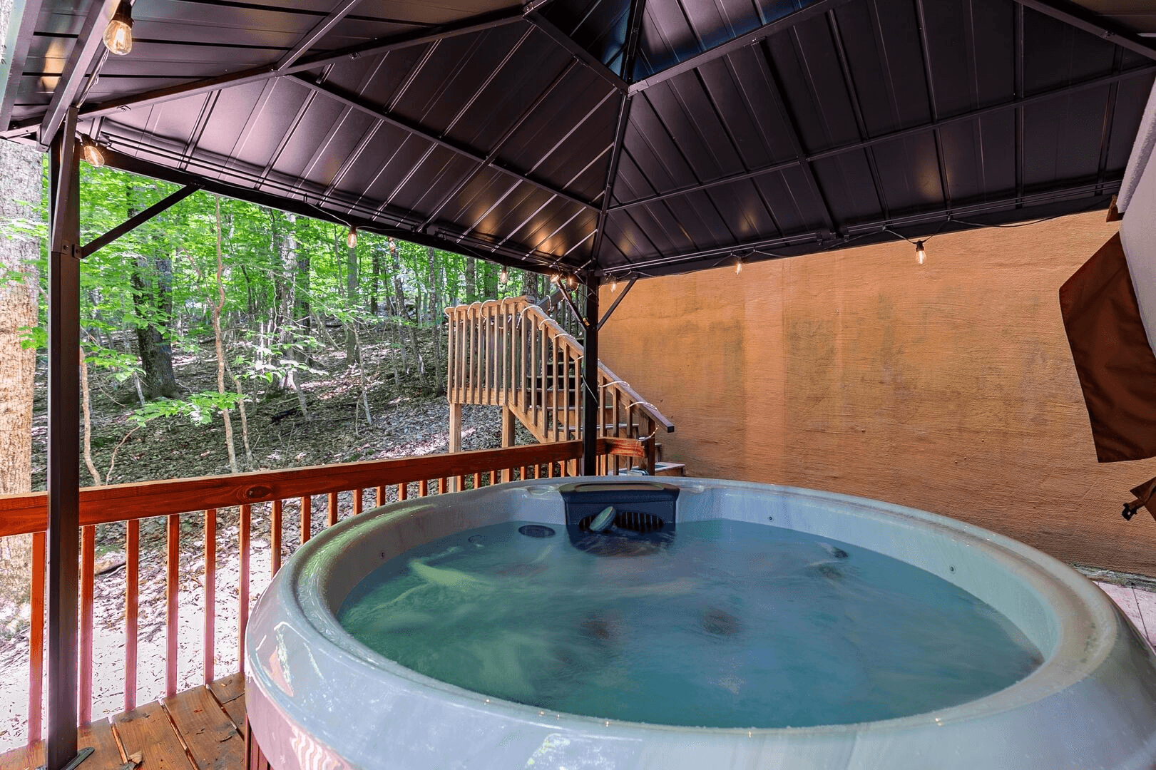 Chasing Birdies - Image 2