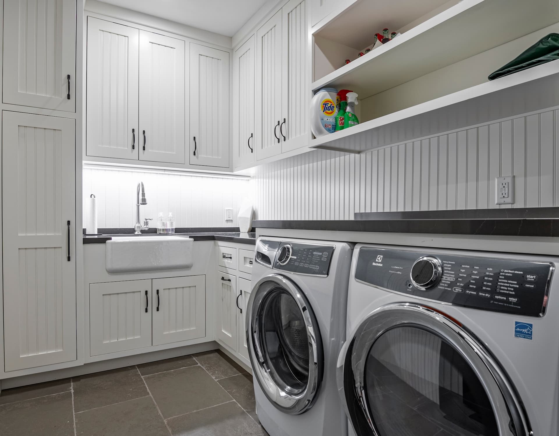 Silver Buck - Image 46