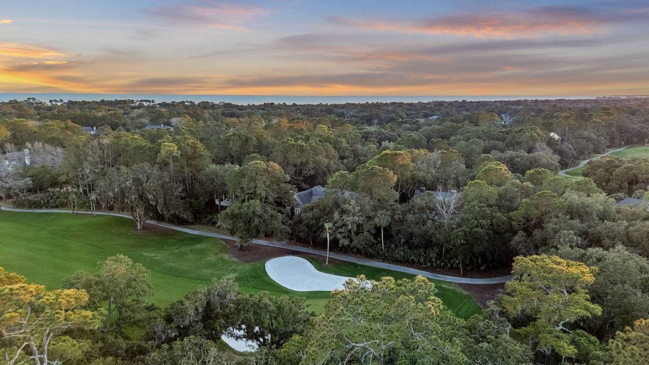 Yellow Throat Lane - Image 52