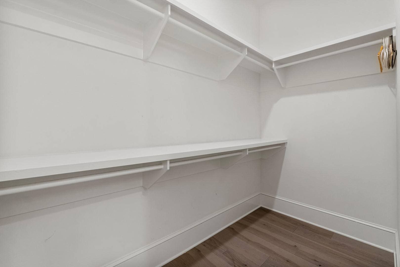 Palm Tree Paradise - Image 18