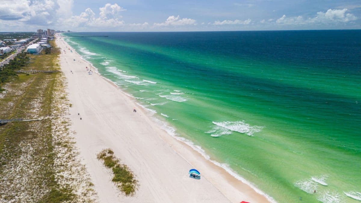 Teddy's Heaven - Image 52