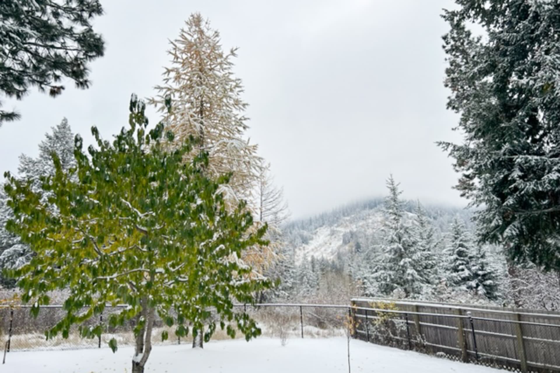 Lake View Getaway - Image 43