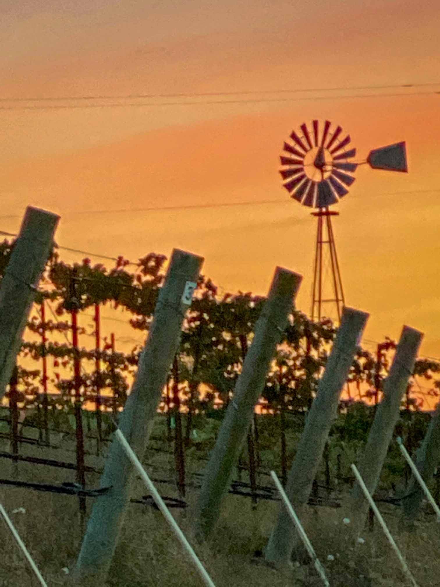 Hidden Acre Vineyard Estate - Image 74