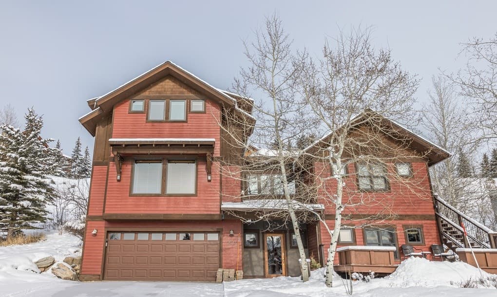 Little Coyote #2573 - Image 1