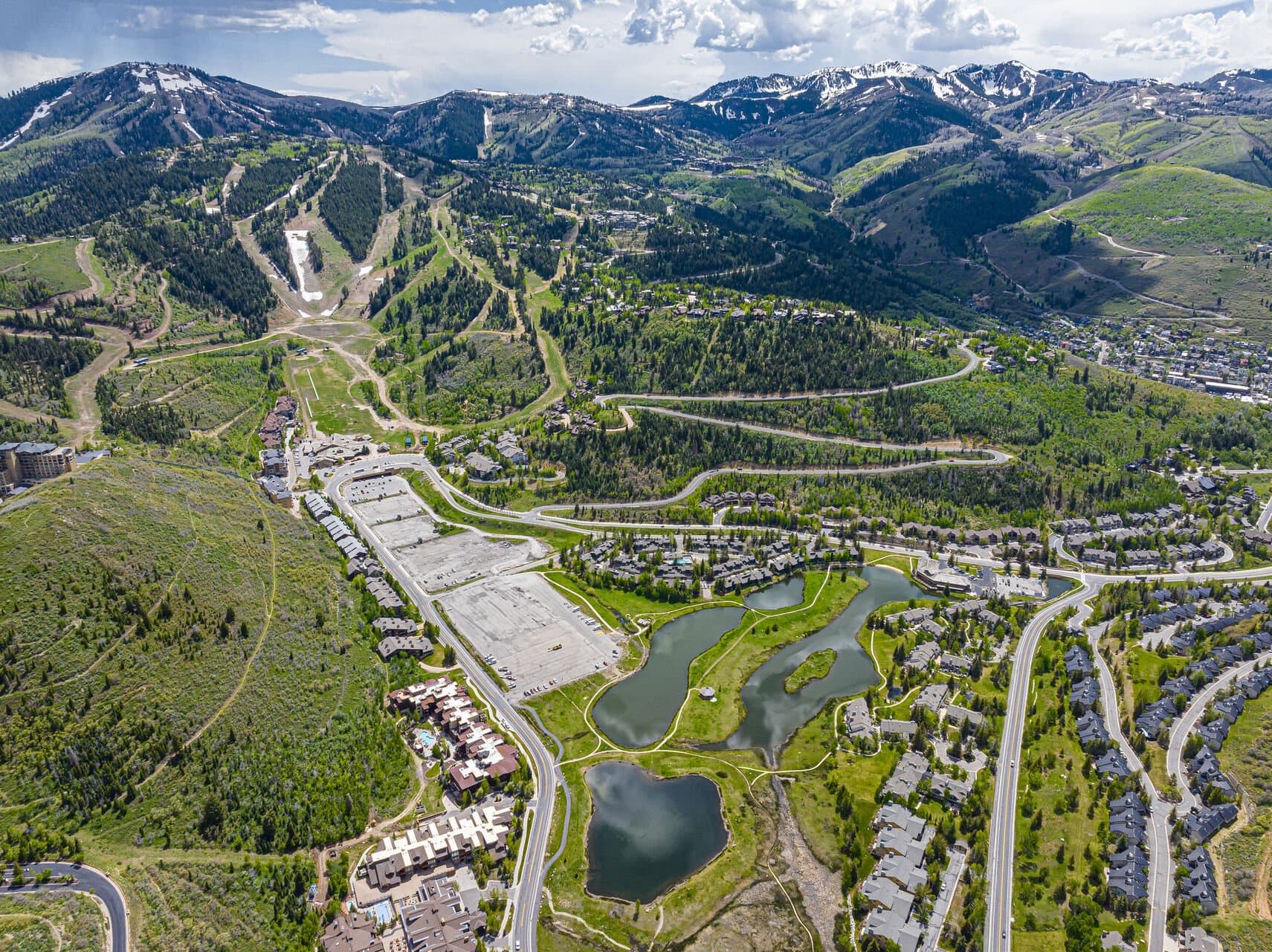 Fawngrove Woodland Escape - Image 3