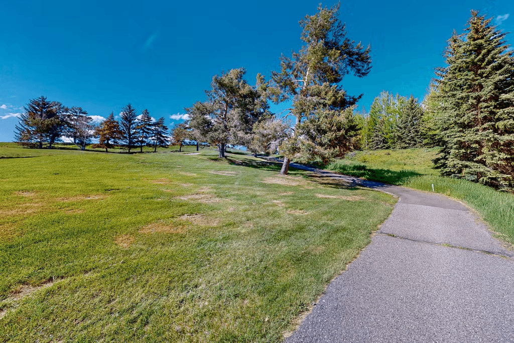 Soulitude - Image 25