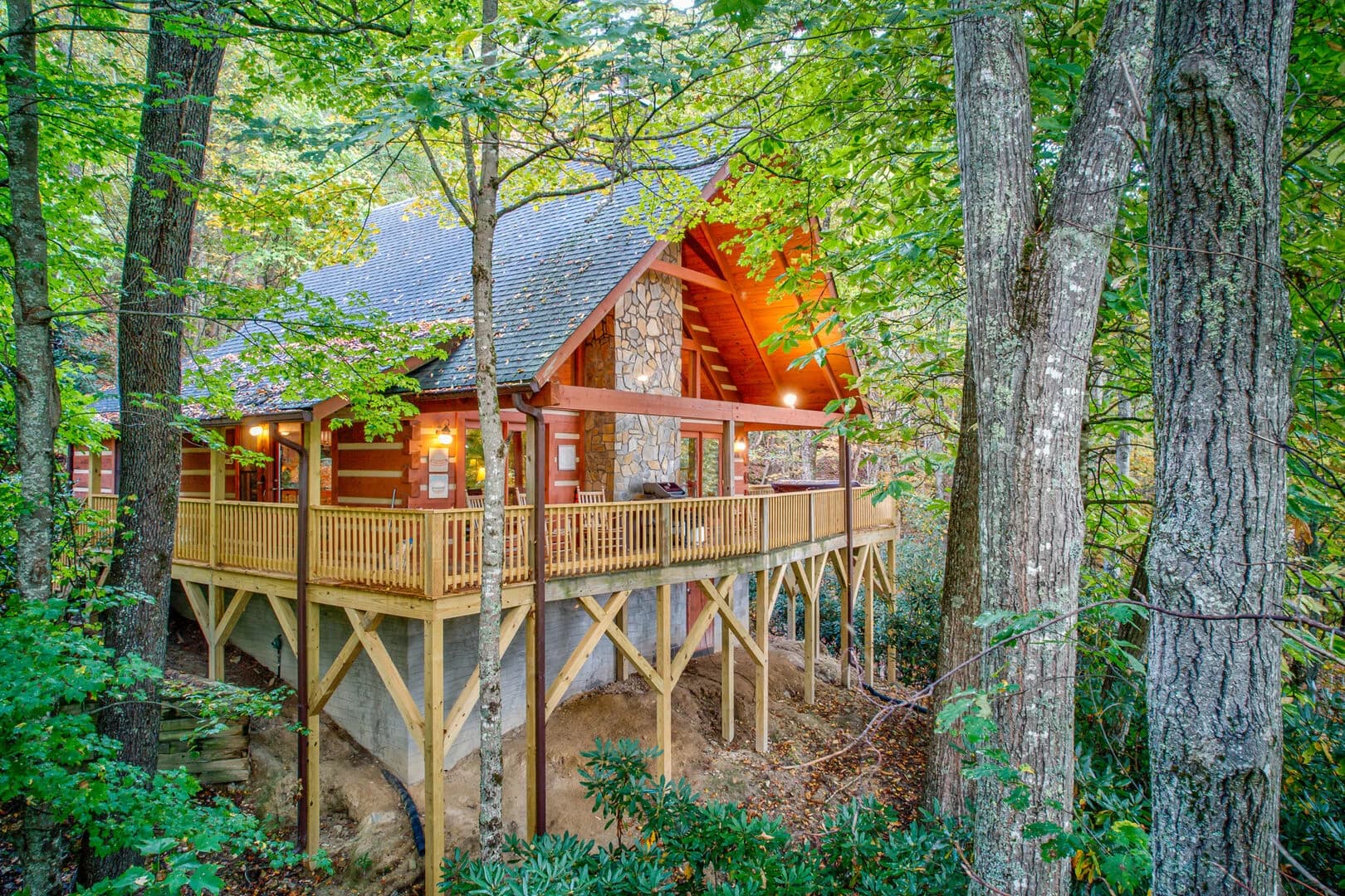 Farallon Cabin - Image 3