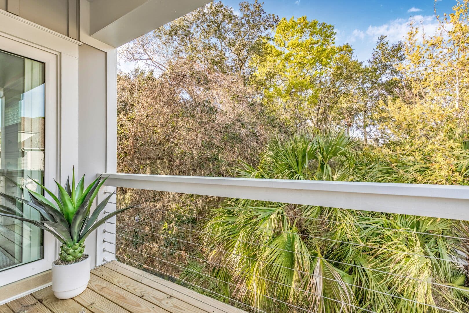 Turtle Tides - Image 56