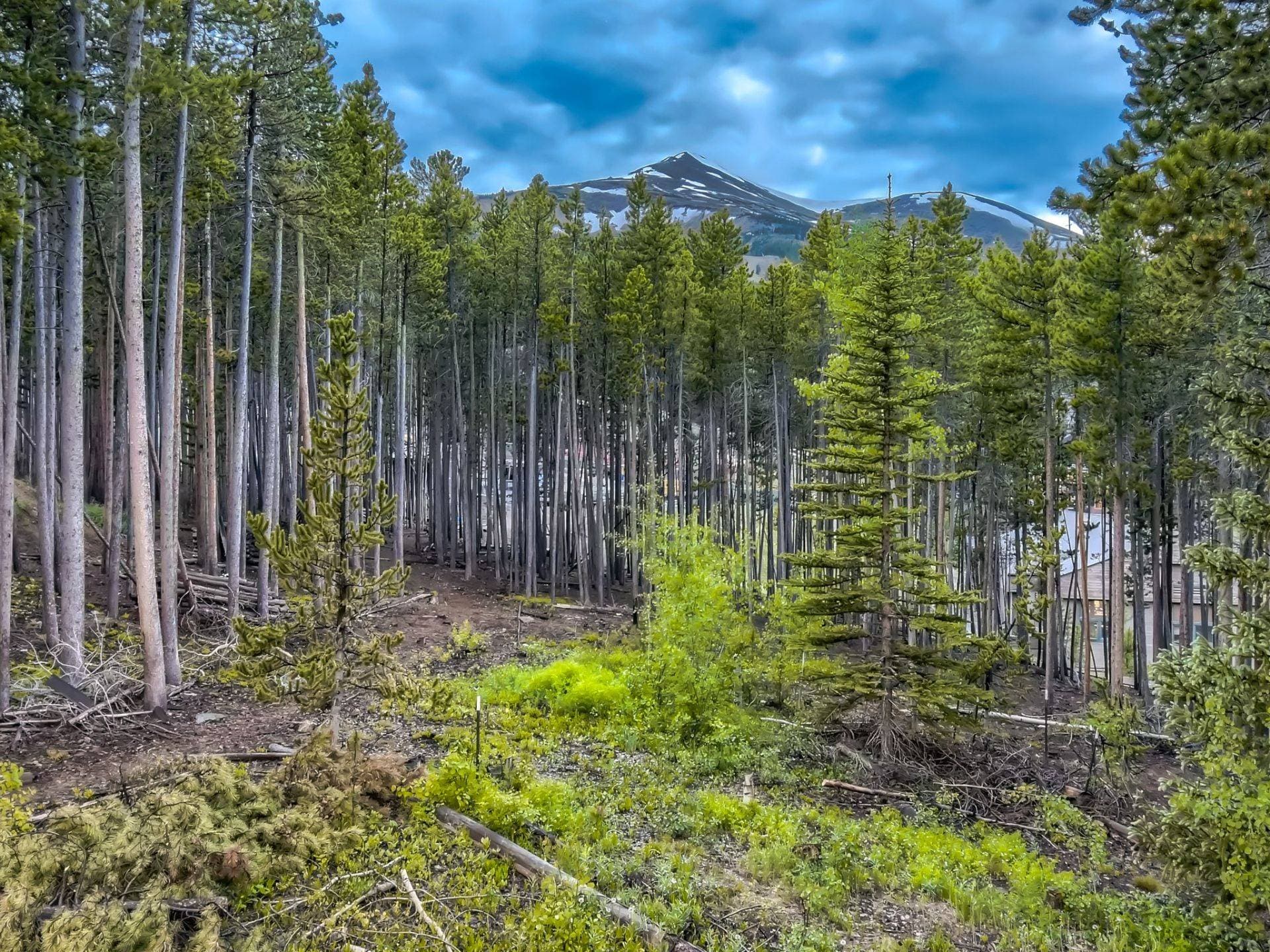 Breck Lodge House - Image 32