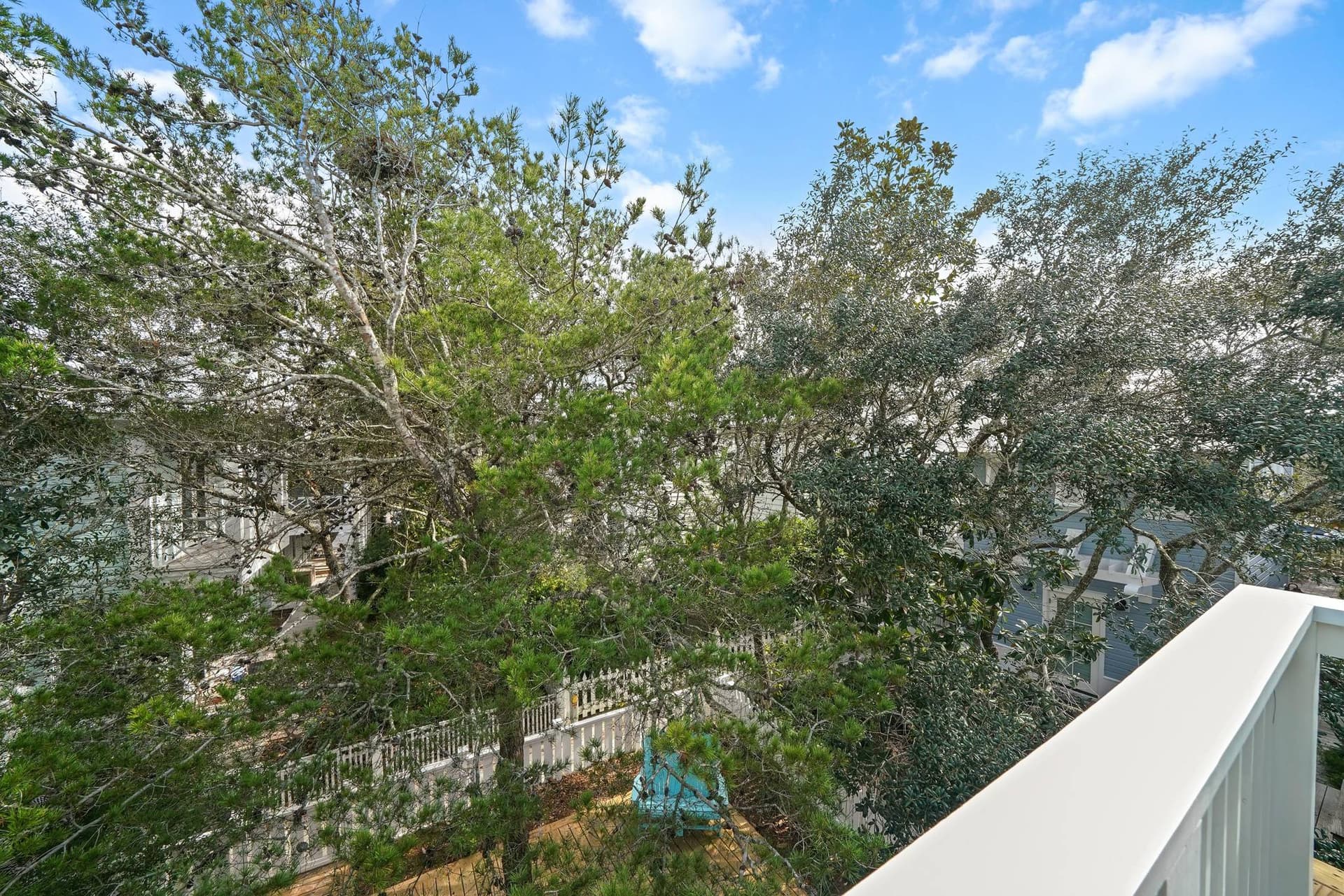 Salty Dogs House - Image 30