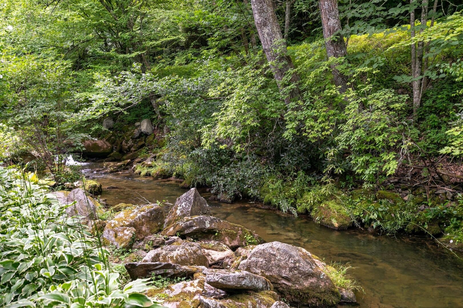 Riverside Retreat - Image 39