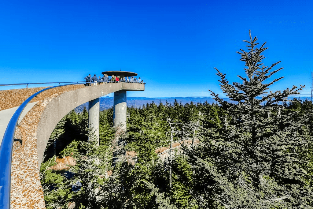 Bear Tracks - Image 32