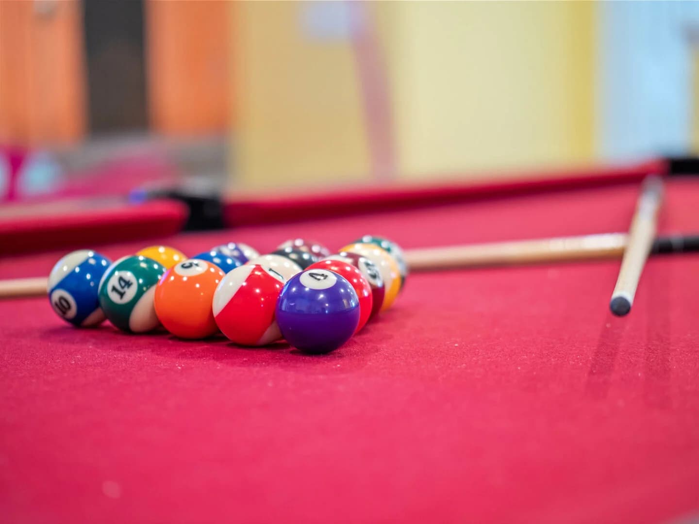 Florida Dreamin - Image 32