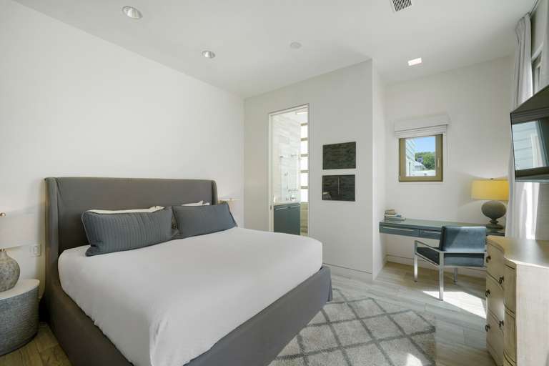 Sea Sabella - Image 15