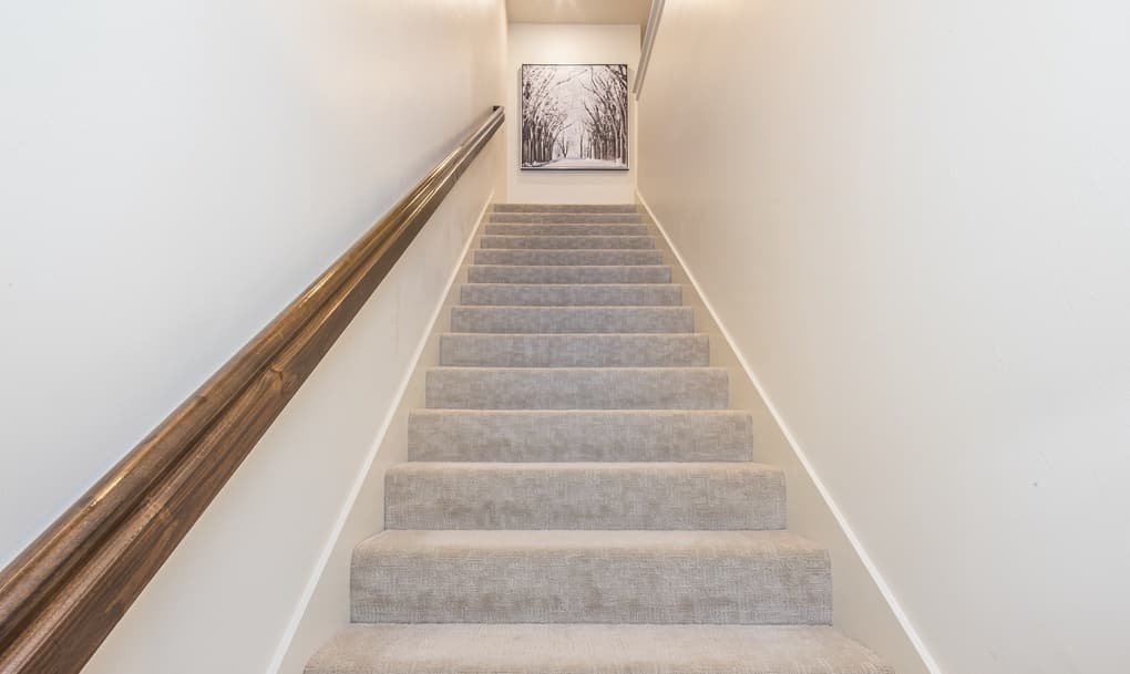 Pheasant Tail #225A - Image 16