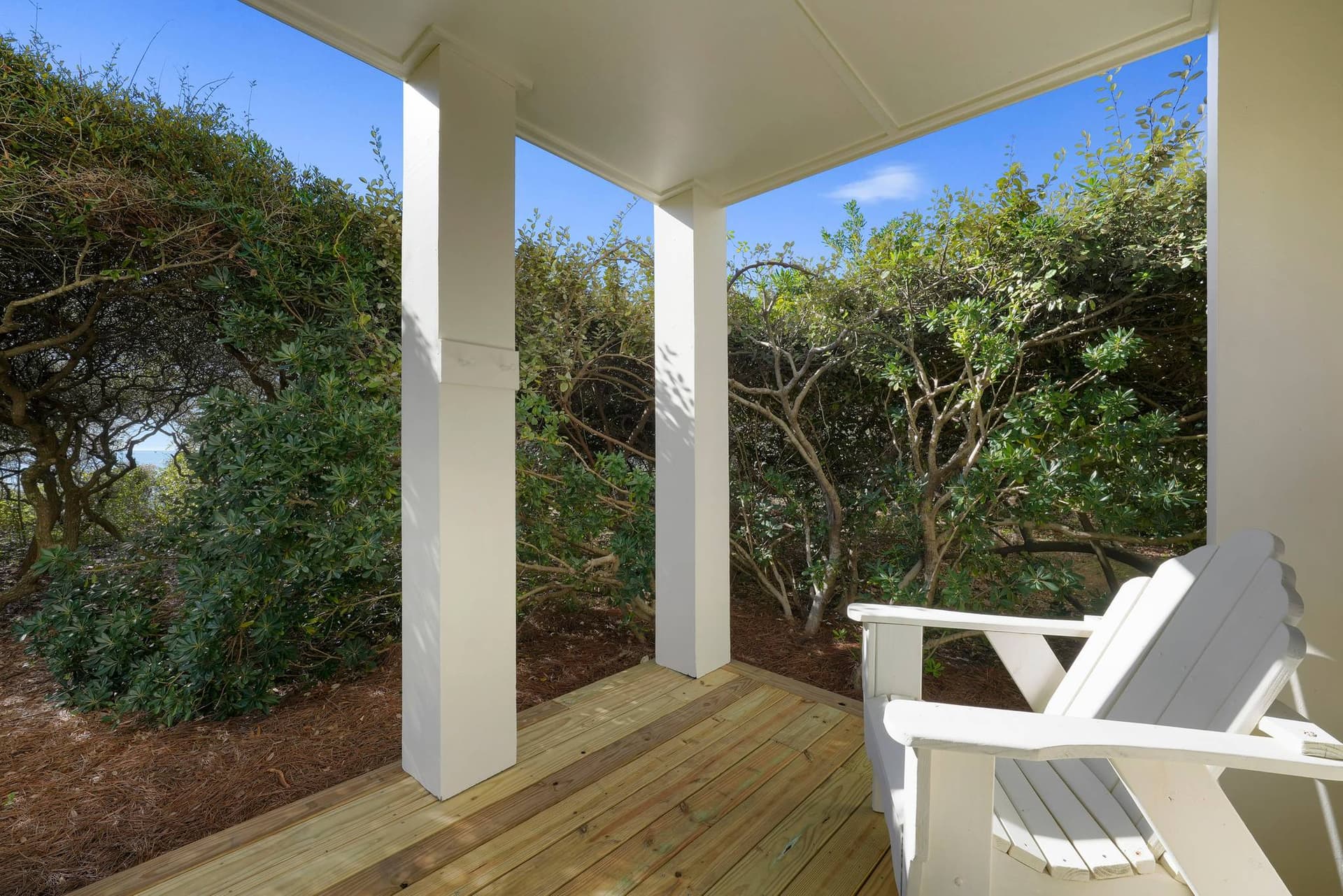 Southern Exposure - Image 12