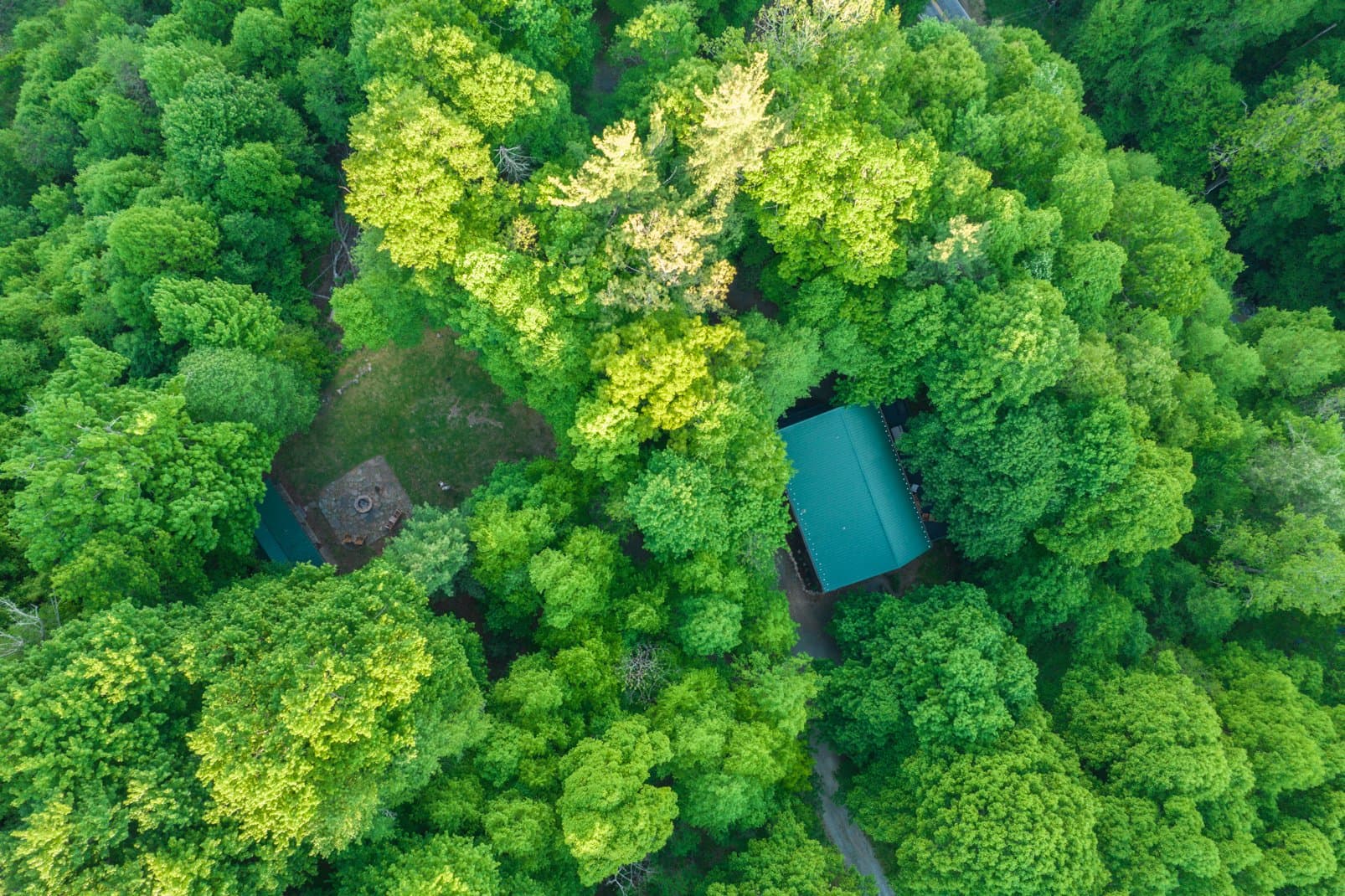 Paws a While - Image 65