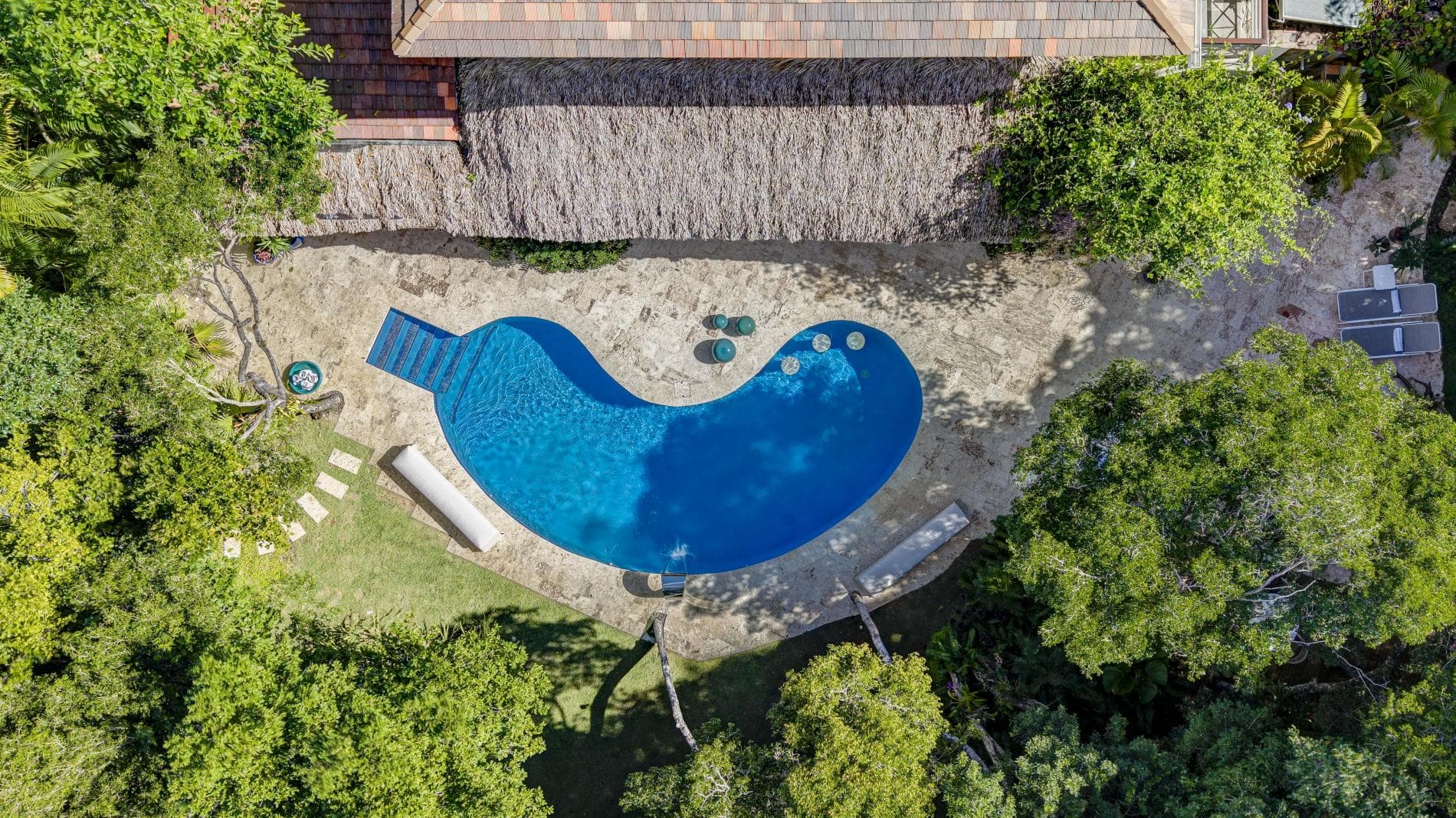 Tortuga #B55 - Image 28