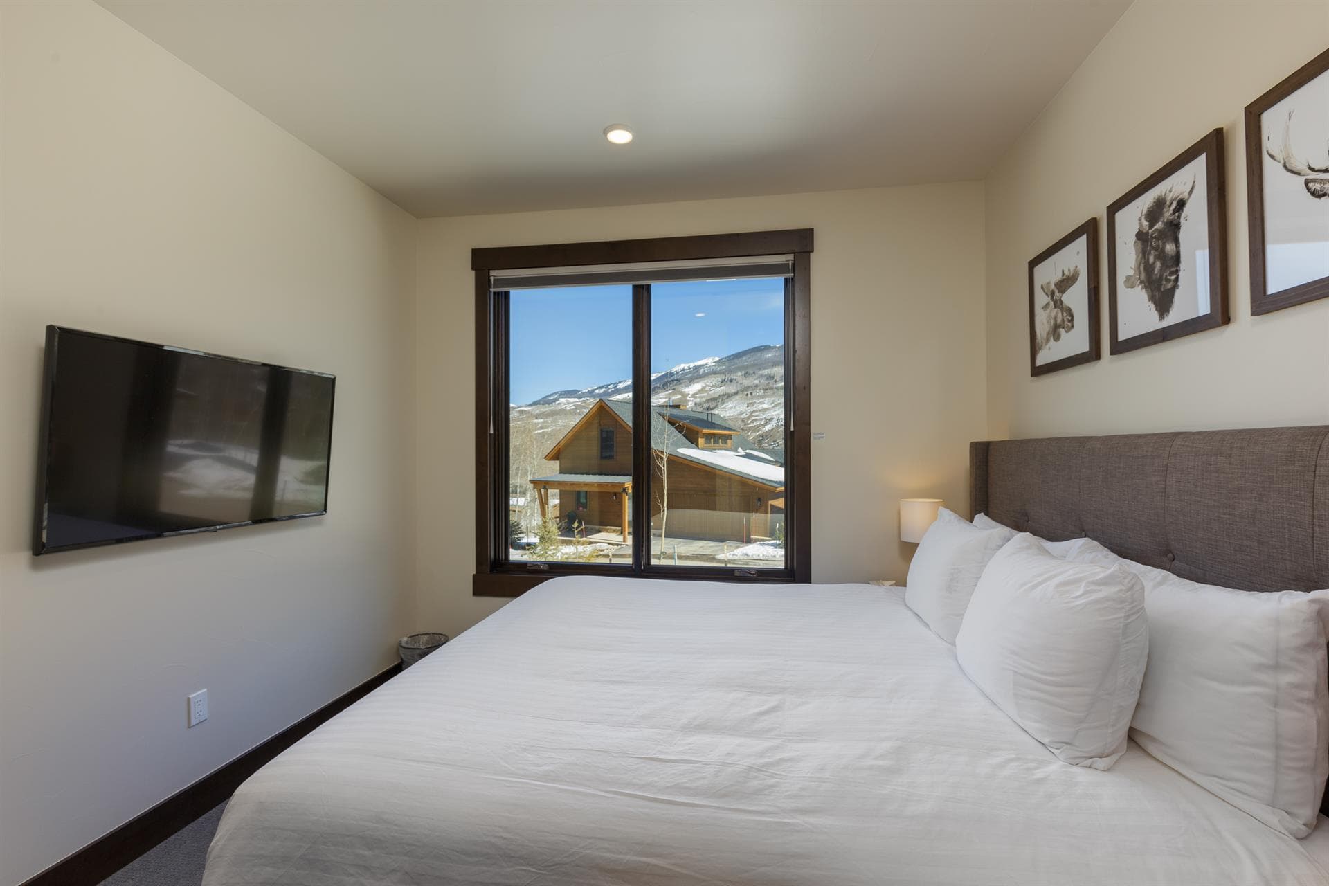 Benjamin Lane - Image 13