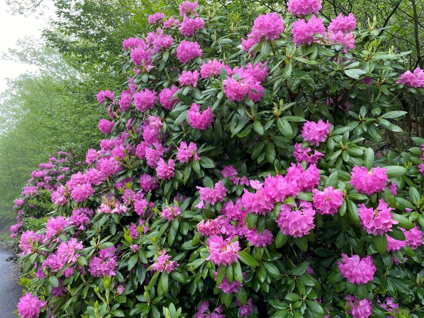 Boulders Place - Image 56