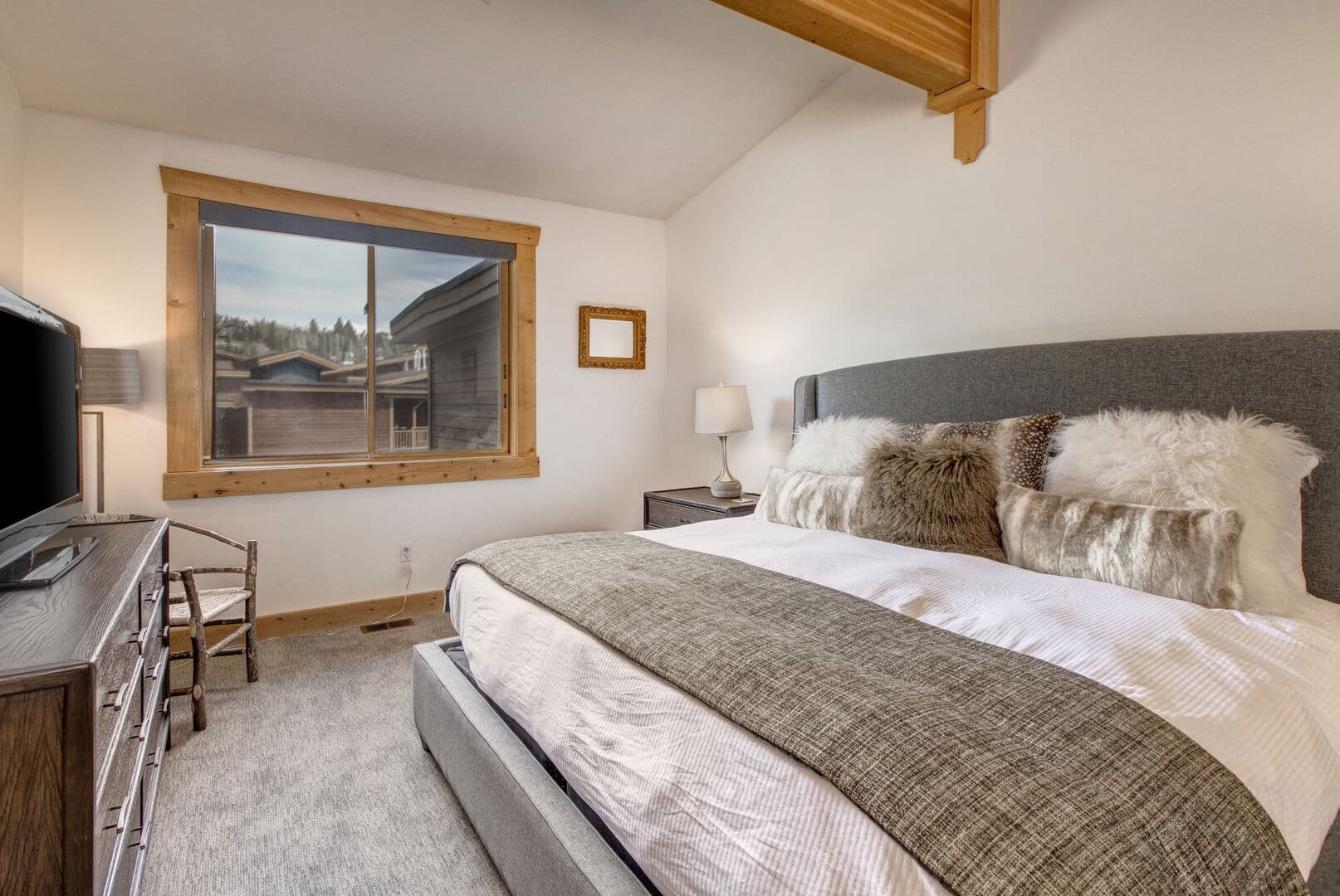 Black Bear 431 - Image 11