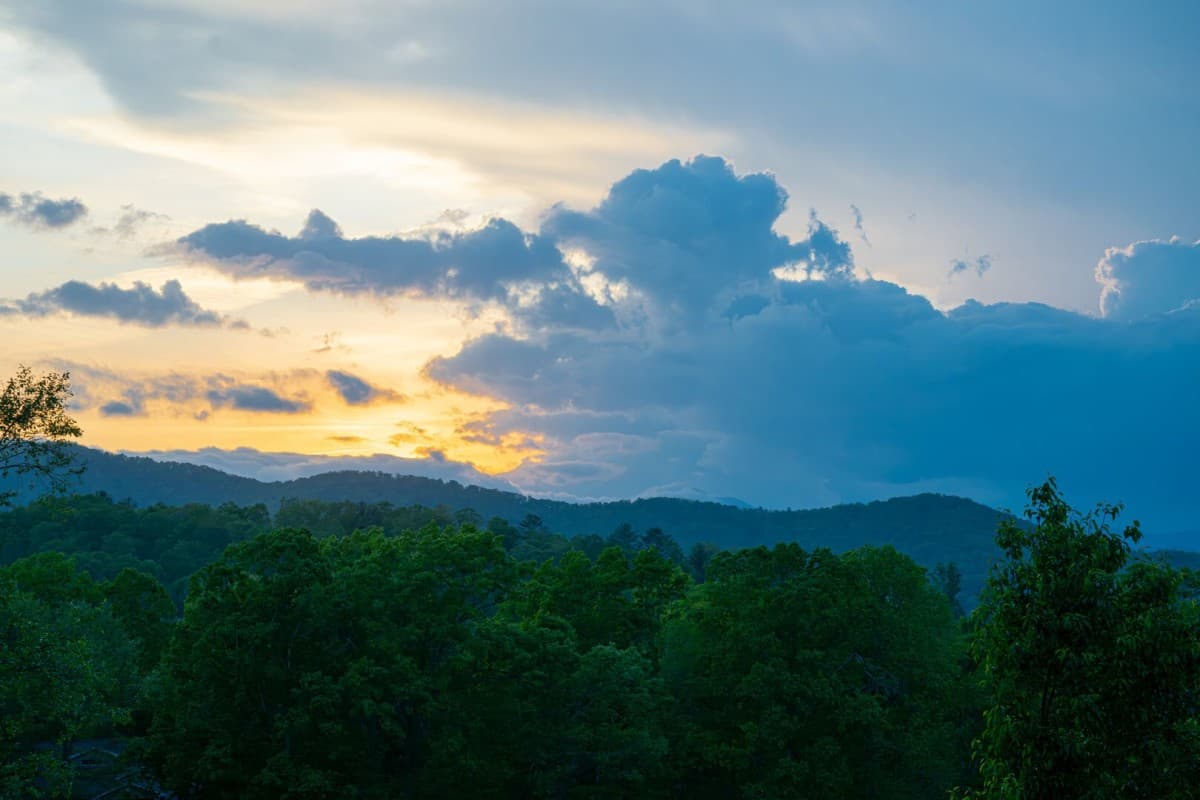 Bridlewood Farm - Image 4