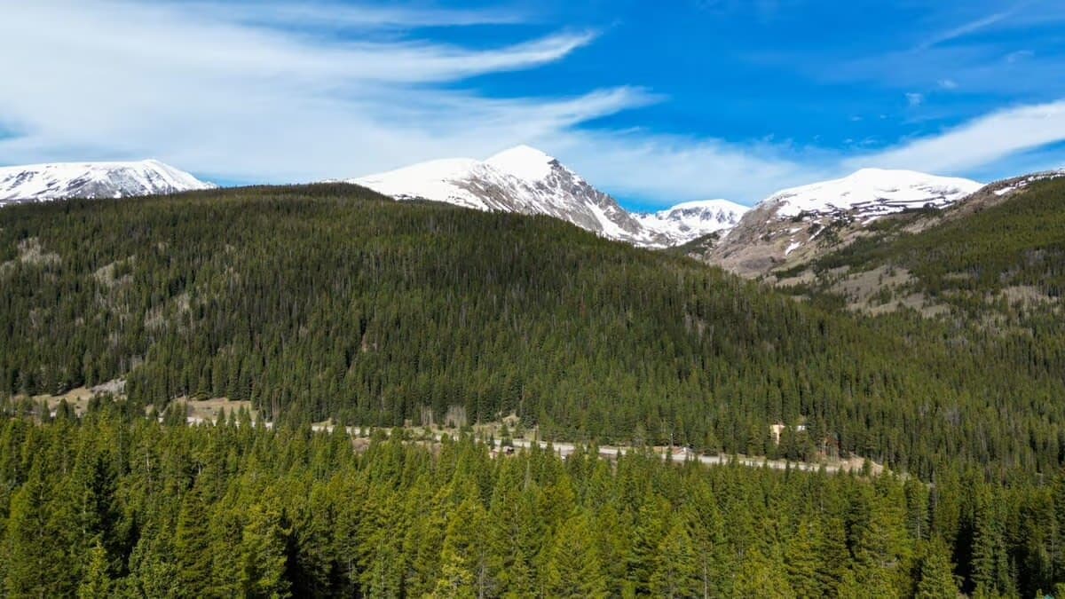 Forestlight Hideaway - Image 32