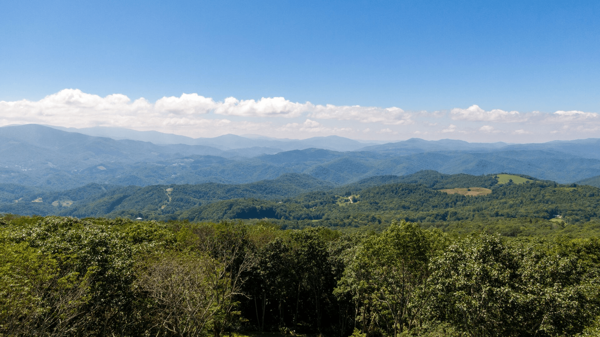 Birds Eye View - Image 30