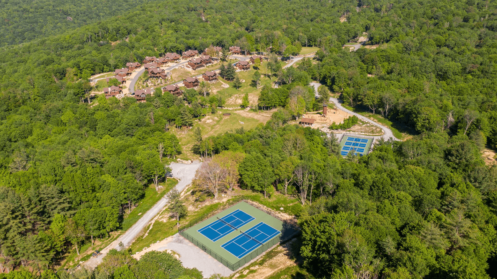 Black Bear Den - Image 20