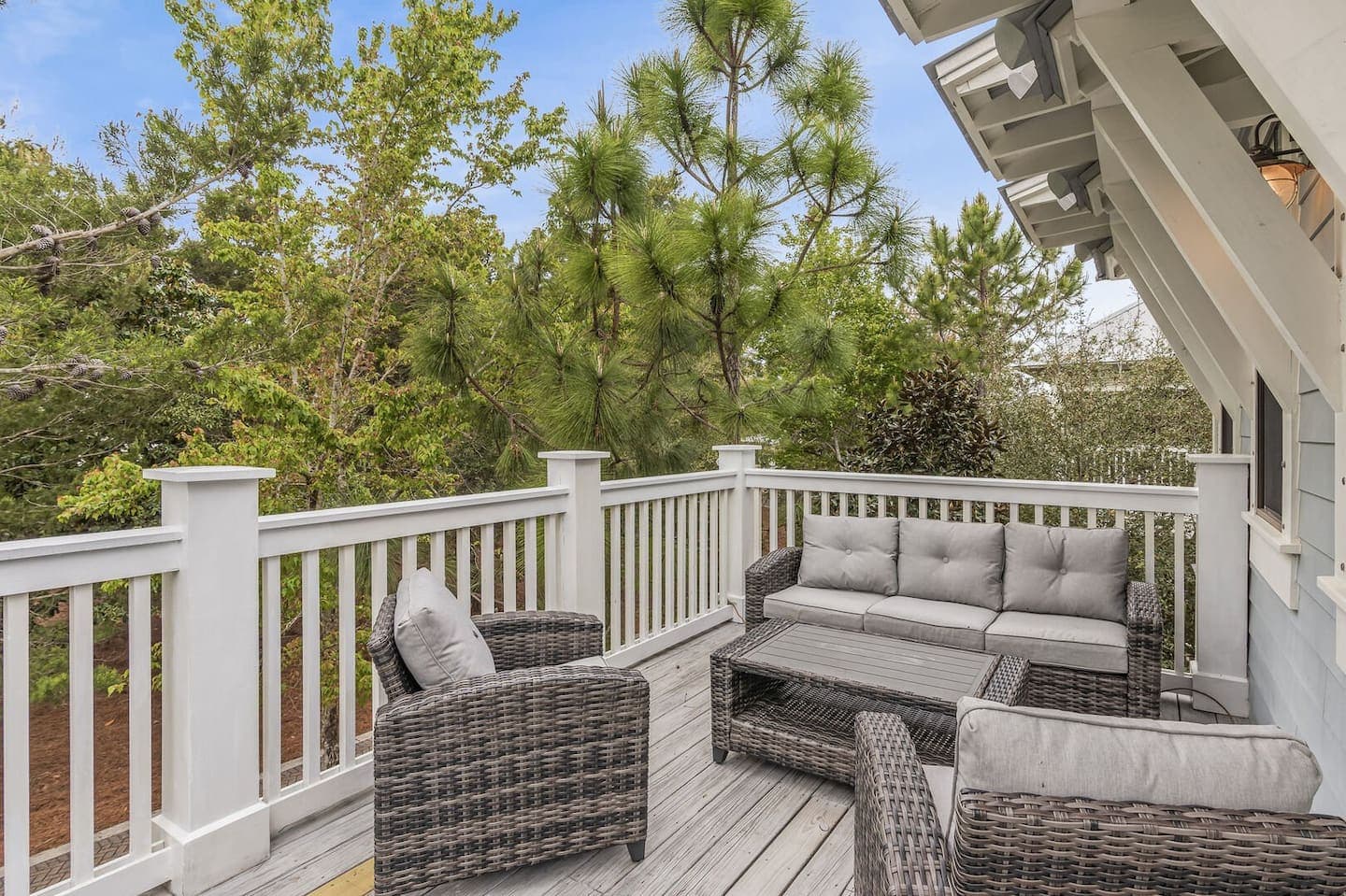Longleaf Pines - Image 15