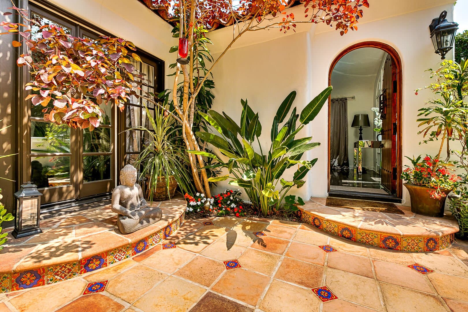 Olive Branch - Image 5