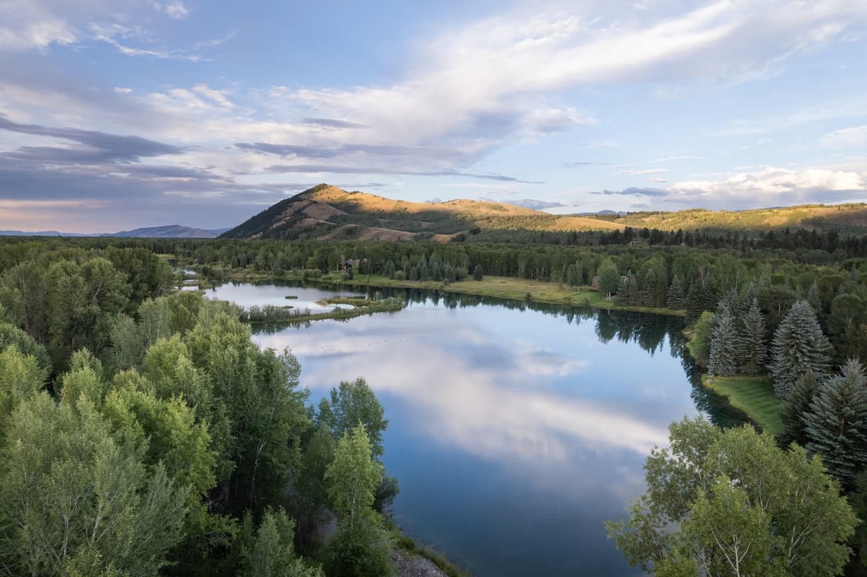 Cabin Fever - Image 29