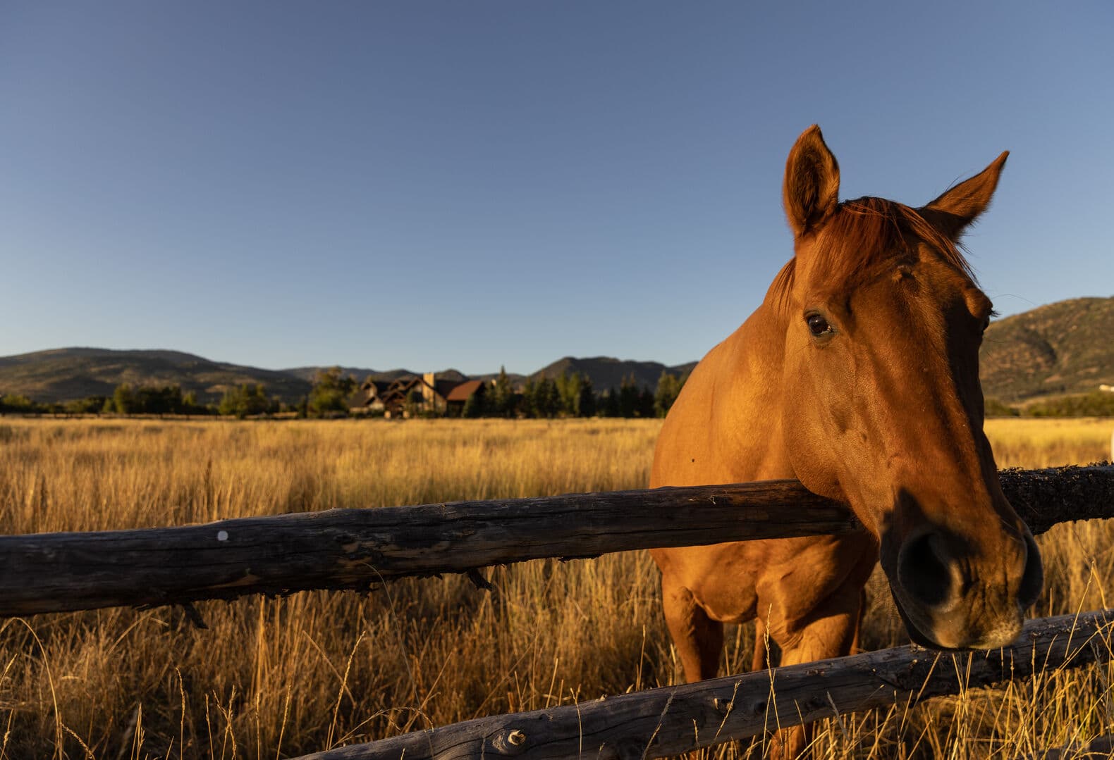Twilight Moon Ranch - 10 Bedroom - Image 69
