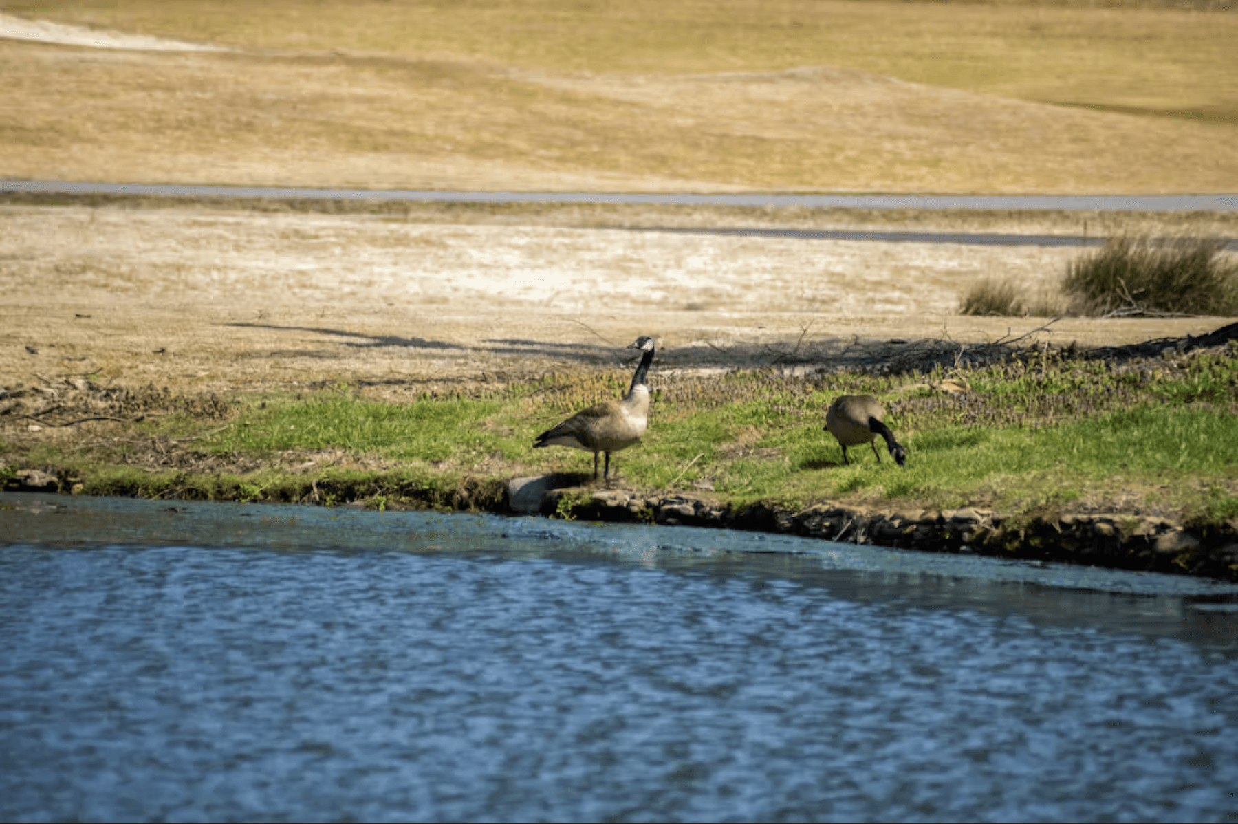 Granite Glen House - Image 52