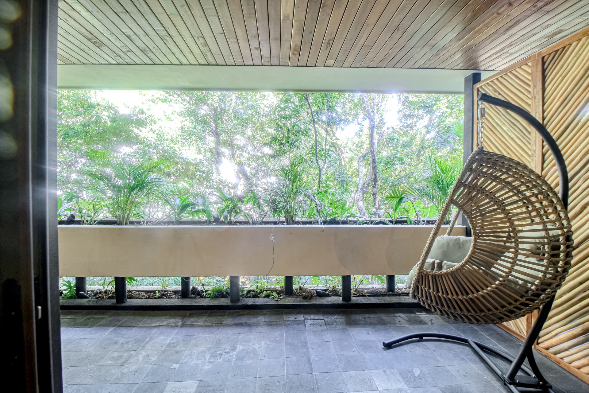 Dreamland - Image 10