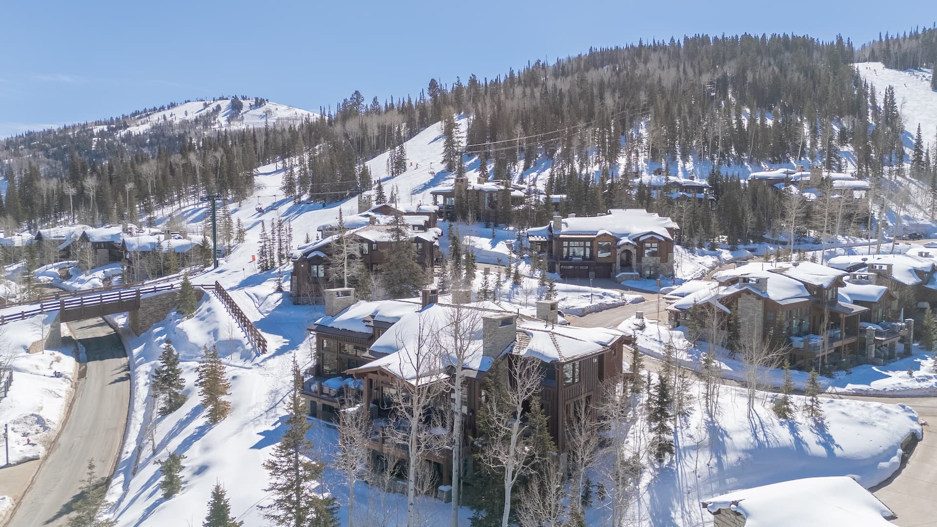 Silver Buck - Image 59