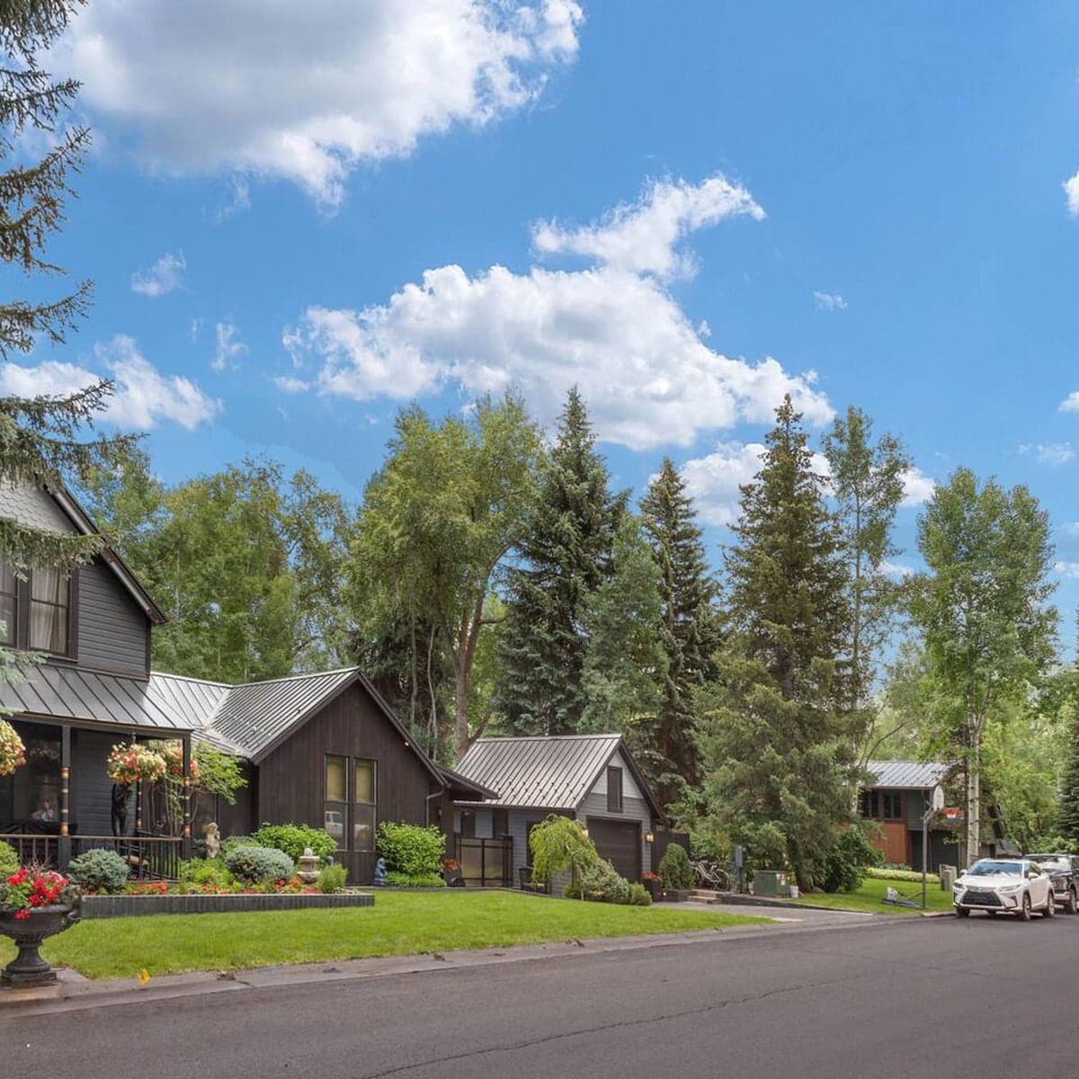 Third Timber - Image 3