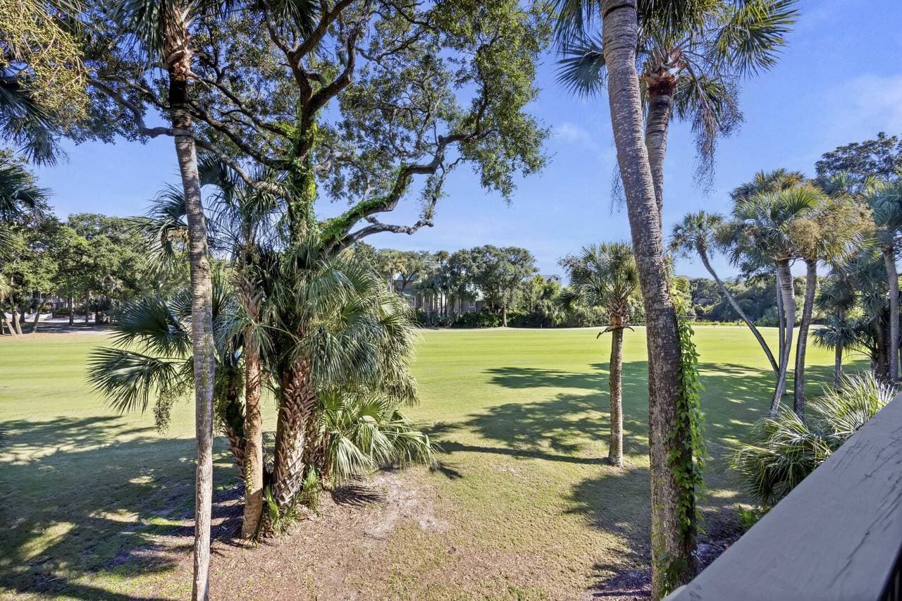 Turtle Point #4984 - Image 34