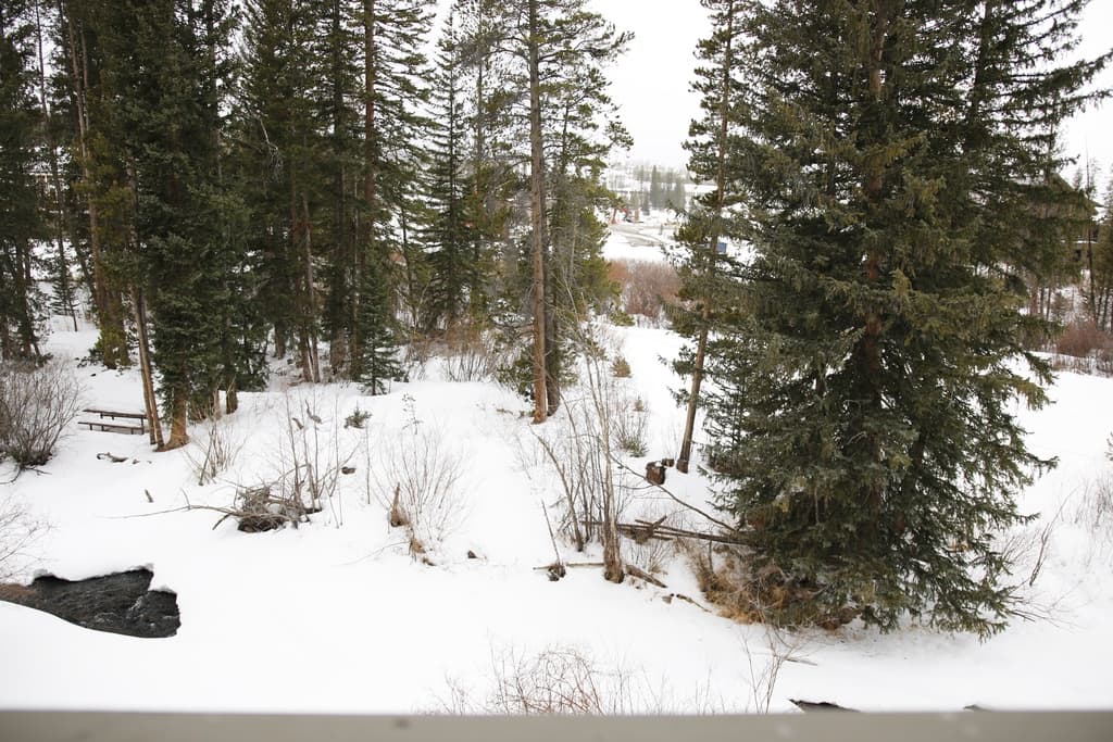 Hi Country Haus Residence 2121 - Image 24