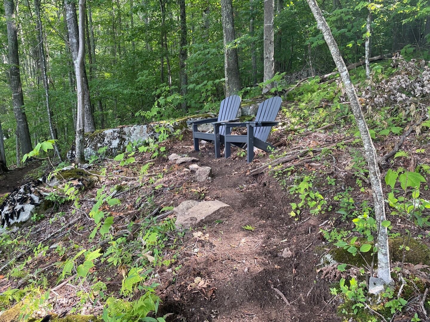 Up and Away - Image 72