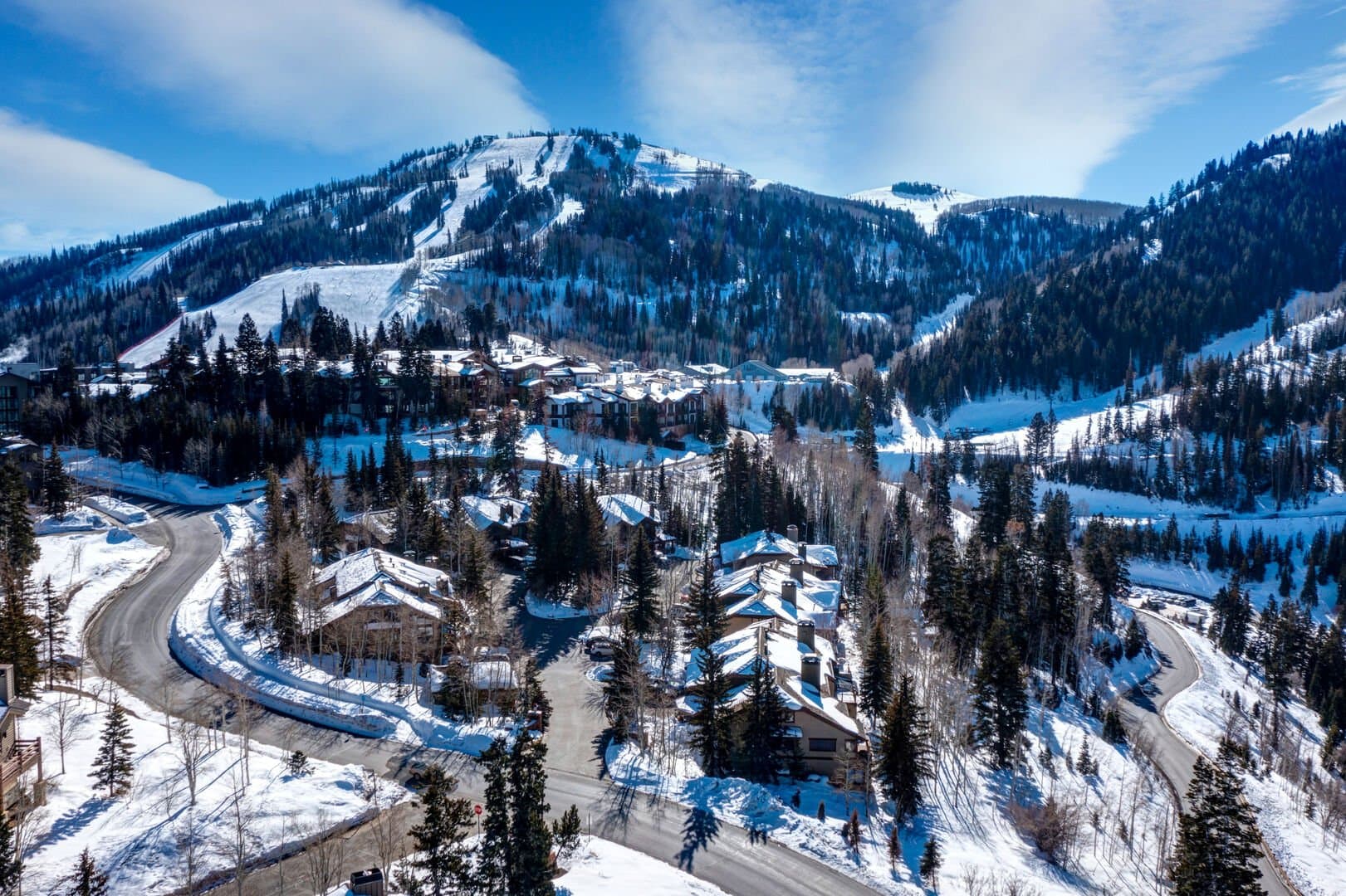 Belle Home - Image 14