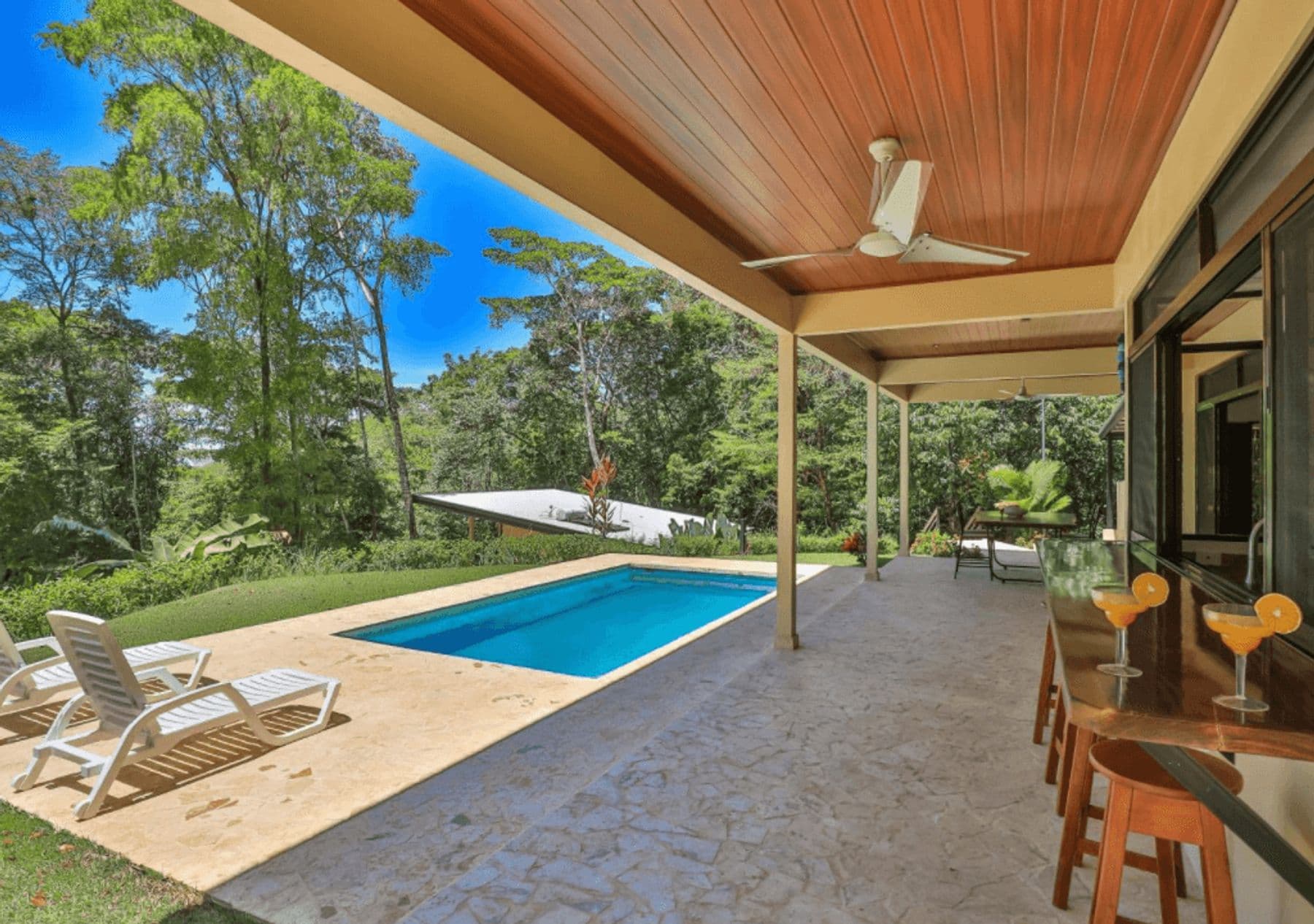 Ballena Bliss - Image 5