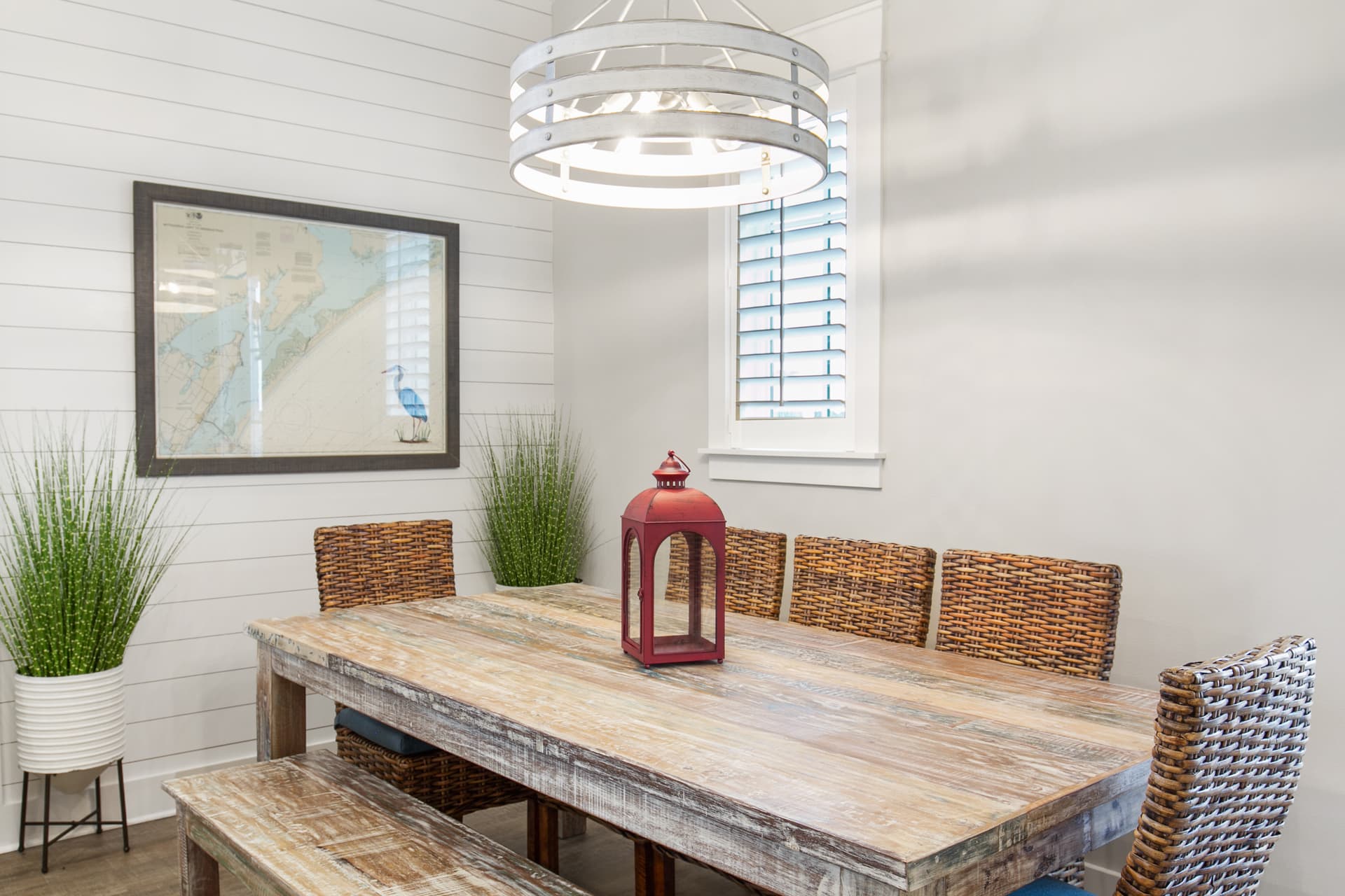 Deep Sea Parrot - Image 5