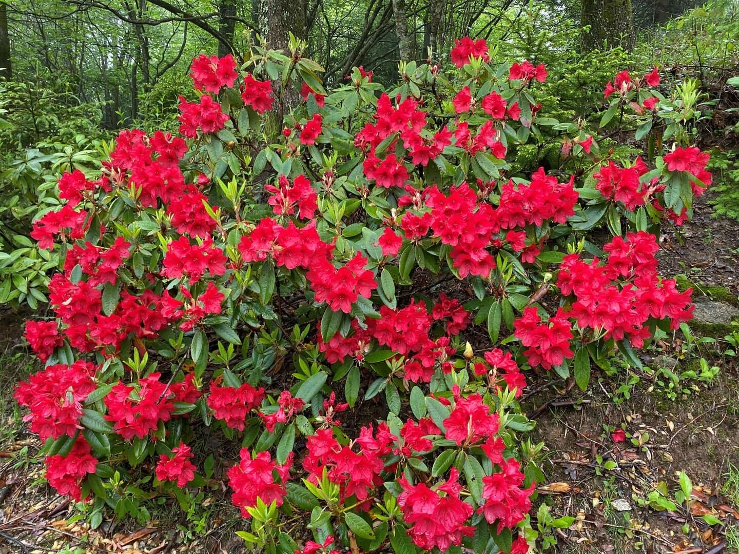 Boulders Place - Image 57