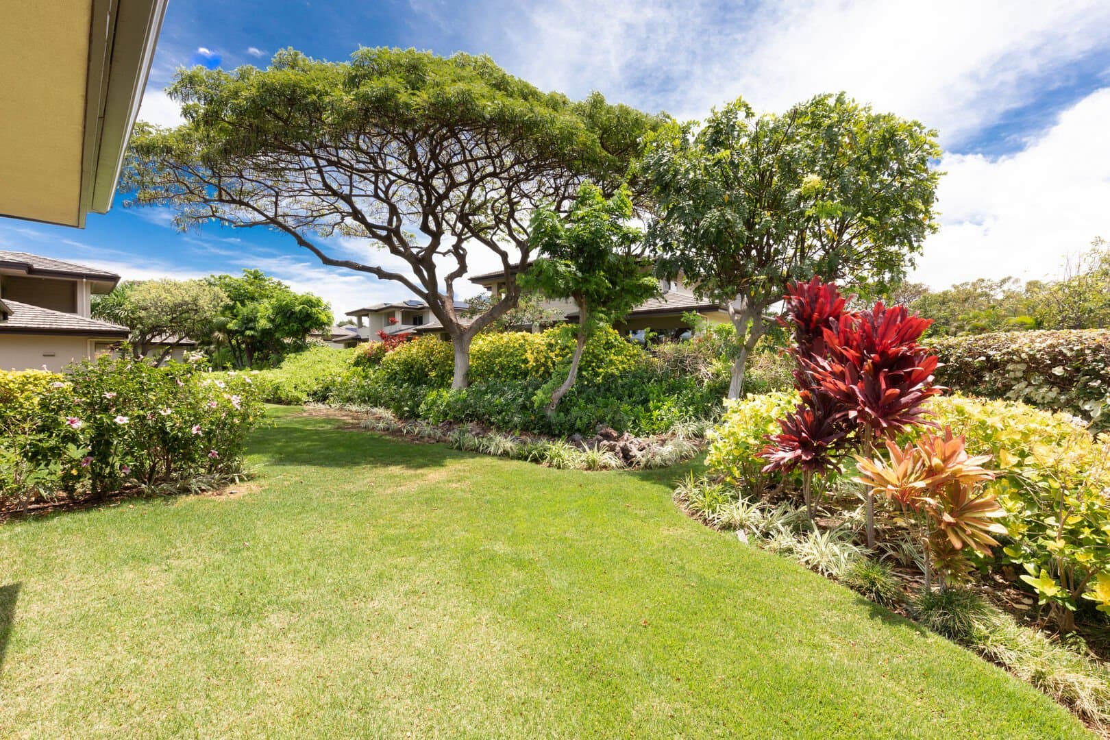 Aloha Joe's Ohana - Image 45