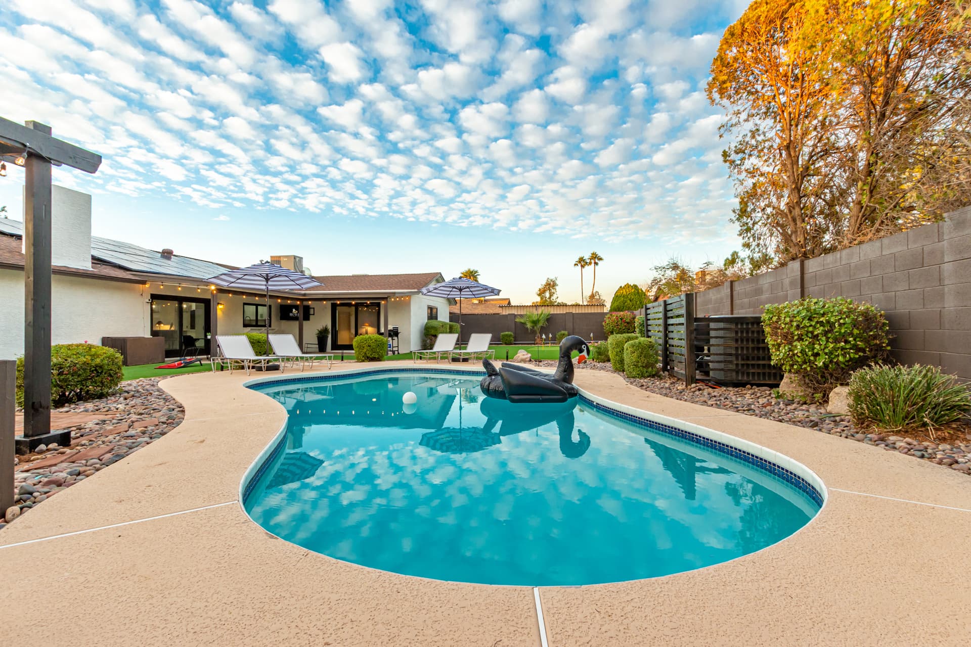 Ace Modern Escape - Image 3