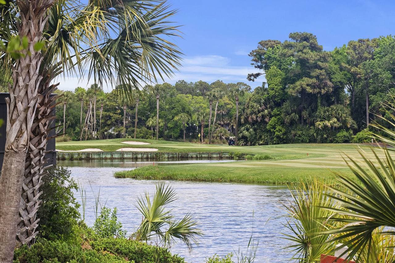 Turtle Point #4984 - Image 35