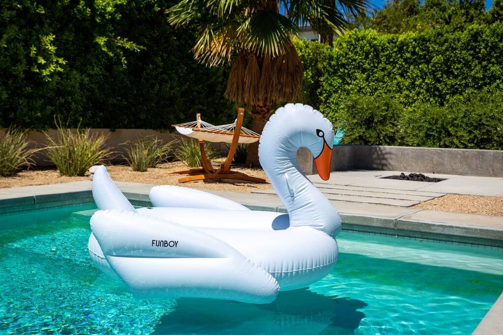 Lux Palmas - Image 14